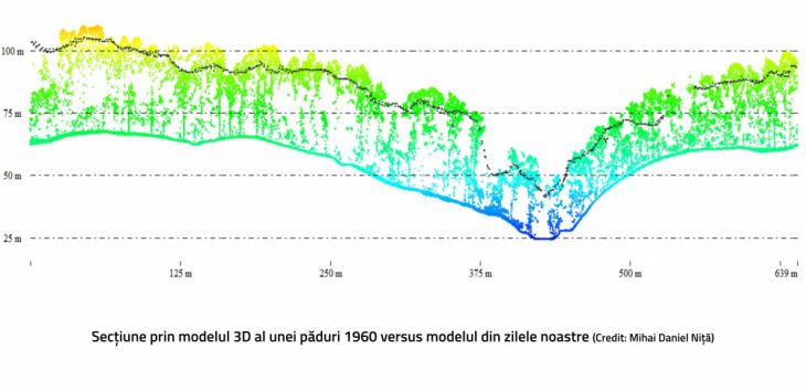 model 3 D padure_285600.jpg