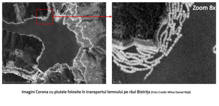plute pe Bistrita_285601.jpg