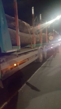 BRAȘOV. Peste 120 de sancțiuni, în urma unei acțiuni silvice (Galerie FOTO) 7 WhatsApp Image 2021-02-03 at 12.33.54_286180.jpeg