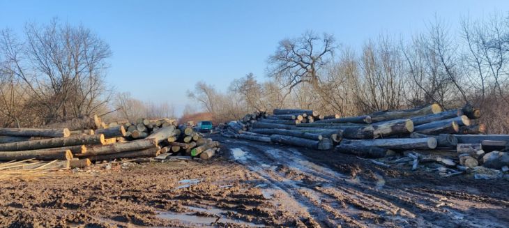 BRAȘOV. Peste 120 de sancțiuni, în urma unei acțiuni silvice (Galerie FOTO) 3 WhatsApp Image 2021-02-03 at 12.33.56 (1)_286188.jpeg