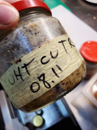 WhatsApp Image 2021-02-03 at 15.10.14_286200.jpeg