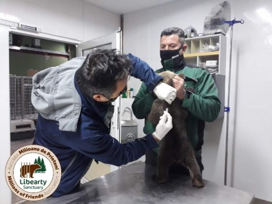 HALUCINANT. Sibiu - Brașov. Salvatori amendați cu 10.000 de lei!!! 5 FB_IMG_1617190695285_287271.jpg