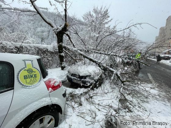 BRAȘOV. Zăpadă de 1 metru în Poiană / Pagube provocate de copacii căzuți / Cum merge deszăpezire (Galerie FOTO) 2 IMG-20210318-WA0002_286977.jpg
