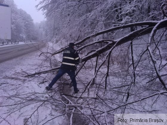 BRAȘOV. Zăpadă de 1 metru în Poiană / Pagube provocate de copacii căzuți / Cum merge deszăpezire (Galerie FOTO) 10 IMG-20210318-WA0003_286985.jpg