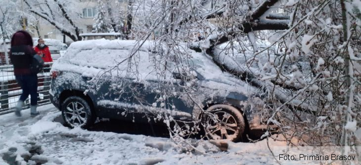 BRAȘOV. Zăpadă de 1 metru în Poiană / Pagube provocate de copacii căzuți / Cum merge deszăpezire (Galerie FOTO) 3 IMG-20210318-WA0004_286978.jpg