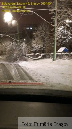 BRAȘOV. Zăpadă de 1 metru în Poiană / Pagube provocate de copacii căzuți / Cum merge deszăpezire (Galerie FOTO) 6 IMG-20210318-WA0005_286981.jpg
