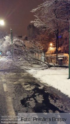 BRAȘOV. Zăpadă de 1 metru în Poiană / Pagube provocate de copacii căzuți / Cum merge deszăpezire (Galerie FOTO) 5 IMG-20210318-WA0007_286980.jpg