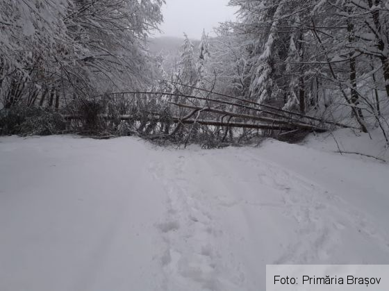BRAȘOV. Zăpadă de 1 metru în Poiană / Pagube provocate de copacii căzuți / Cum merge deszăpezire (Galerie FOTO) 8 IMG-20210318-WA0009_286983.jpg