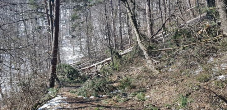 WhatsApp Image 2021-04-05 at 11.31.02a_287405.jpeg