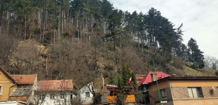 WhatsApp Image 2021-04-05 at 11.31.03_287403.jpeg