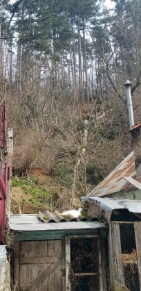 WhatsApp Image 2021-04-05 at 11.31.03b_287407.jpeg