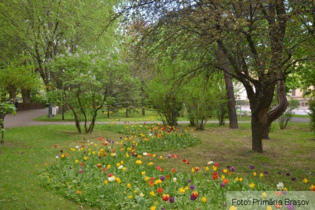 WhatsApp Image 2021-05-14 at 12.20.52_288184.jpeg