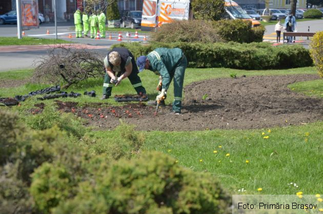 WhatsApp Image 2021-05-14 at 12.20.55_288183.jpeg