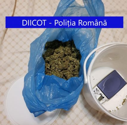 WhatsApp Image 2021-07-13 at 10.12.56 (1)_289572.jpeg