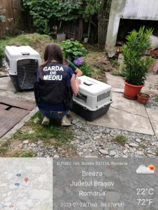 WhatsApp Image 2021-07-23 at 14.09.01 (1)_289833.jpeg