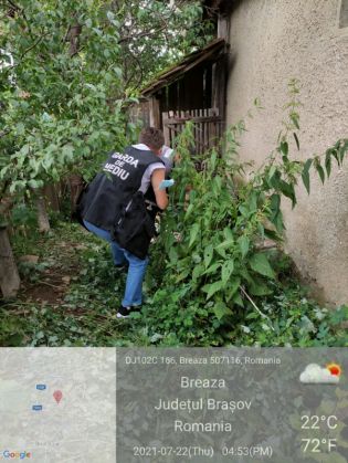 WhatsApp Image 2021-07-23 at 14.09.01 (2)_289836.jpeg