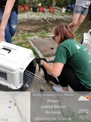 WhatsApp Image 2021-07-23 at 14.09.01 (3)_289830.jpeg