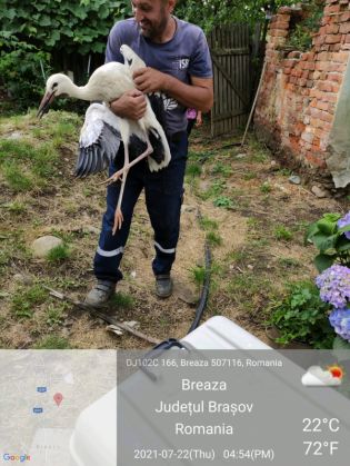 WhatsApp Image 2021-07-23 at 14.09.02 (1)_289831.jpeg