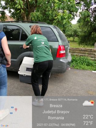 WhatsApp Image 2021-07-23 at 14.09.02_289838.jpeg