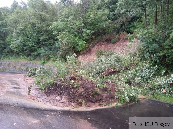 WhatsApp Image 2021-07-30 at 12.46.14 (1)_290033.jpeg