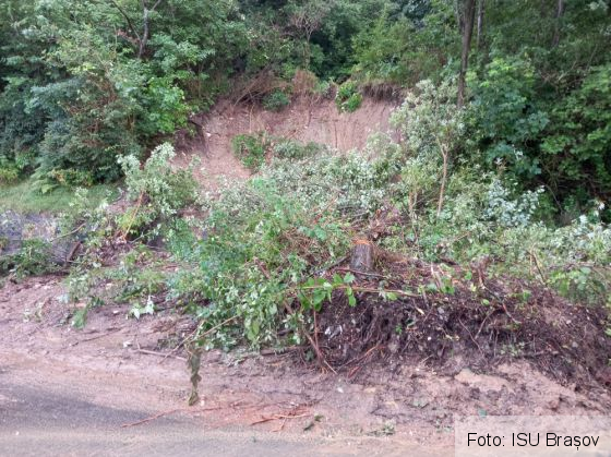 WhatsApp Image 2021-07-30 at 12.46.14_290035.jpeg