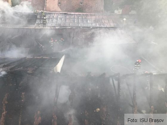 WhatsApp Image 2021-08-12 at 08.07.05 (1)_290397.jpeg