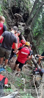 WhatsApp Image 2021-08-24 at 18.34.38_290725.jpeg