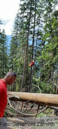 WhatsApp Image 2021-08-24 at 18.34.39_290723.jpeg