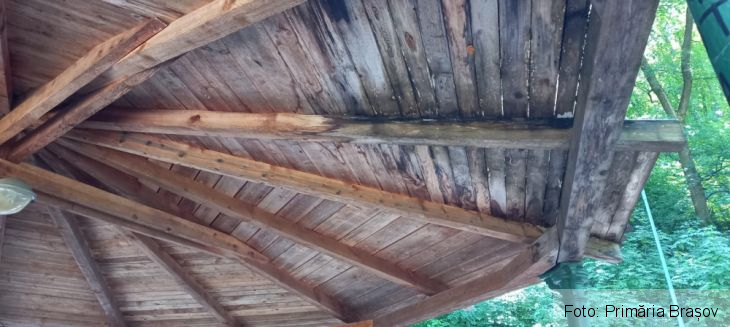 WhatsApp Image 2021-08-31 at 15.20.55_290860.jpeg