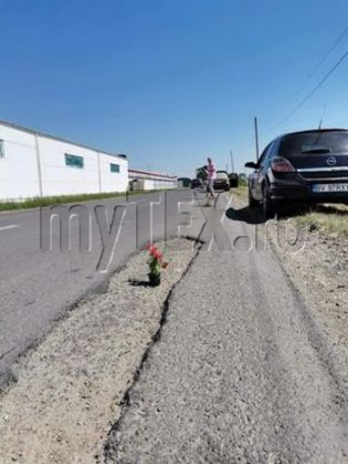 halchiu 2_290644.jpg