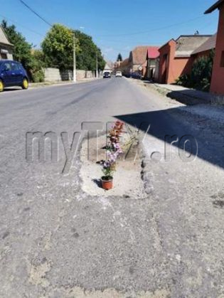 halchiu 4_290646.jpg