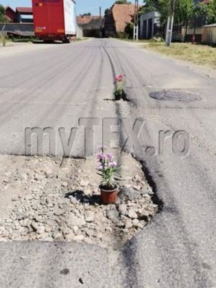 halchiu 5_290647.jpg