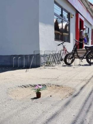 halchiu 6_290648.jpg