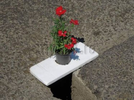 halchiu 7_290649.jpg