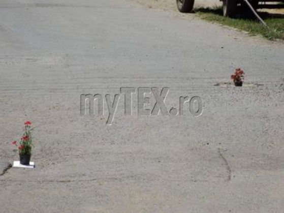 halchiu 8_290650.jpg