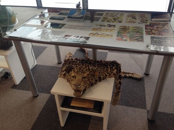 Biblia (50)_291503.JPG