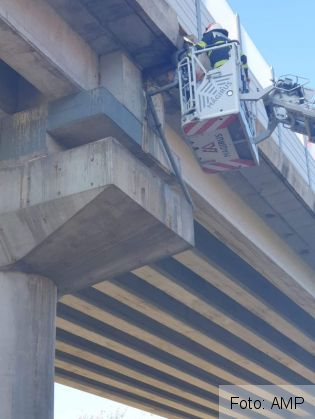 BRAȘOV. Intervenție cu autoscara, la podul din Tractorul, pentru salvarea unei pisicuțe (Galerie FOTO) 2 FB_IMG_1632744110799_291547.jpg