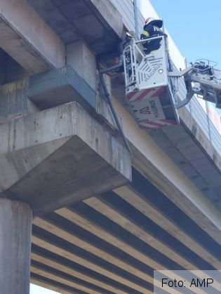 BRAȘOV. Intervenție cu autoscara, la podul din Tractorul, pentru salvarea unei pisicuțe (Galerie FOTO) 3 FB_IMG_1632744113072_291548.jpg