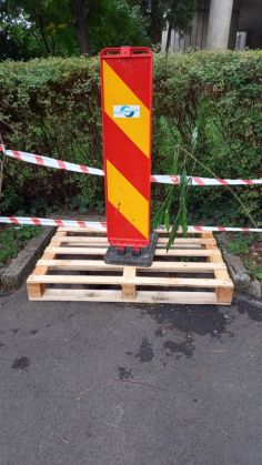 WhatsApp Image 2021-09-09 at 10.27.28_291052.jpeg