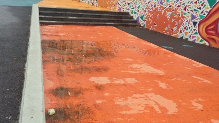 pietonal (10)_291529.jpg