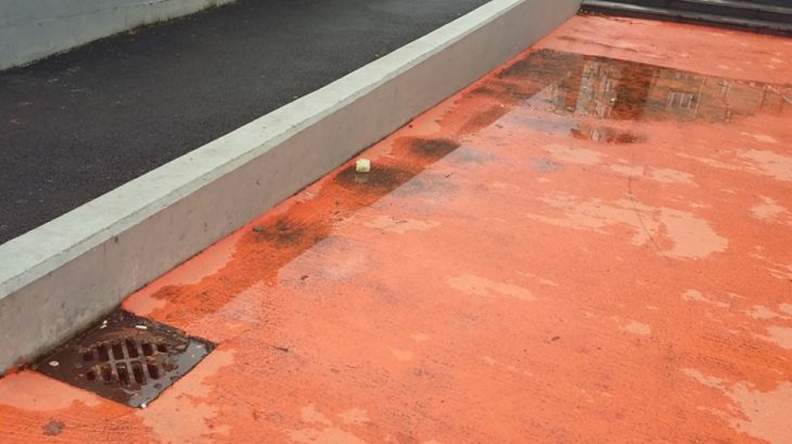 pietonal (11)_291530.jpg