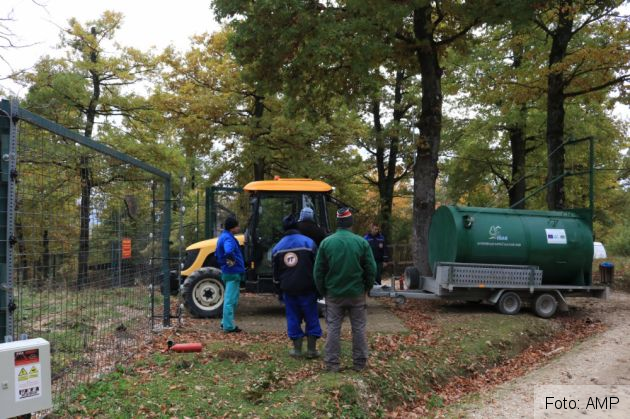 WhatsApp Image 2021-10-14 at 11.18.23_291958.jpeg