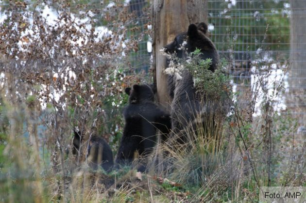 WhatsApp Image 2021-10-14 at 11.18.24 (2)_291960.jpeg