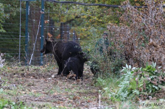 WhatsApp Image 2021-10-14 at 11.18.24_291959.jpeg