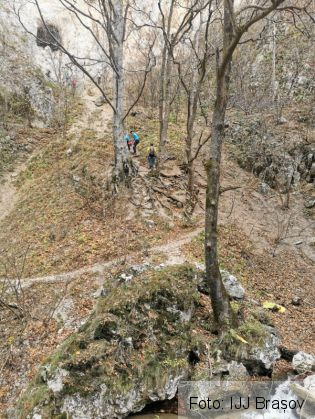 WhatsApp Image 2021-11-05 at 17.16.26_292418.jpeg