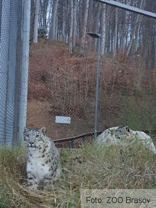 WhatsApp Image 2021-11-26 at 14.55.47 (1)_292964.jpeg