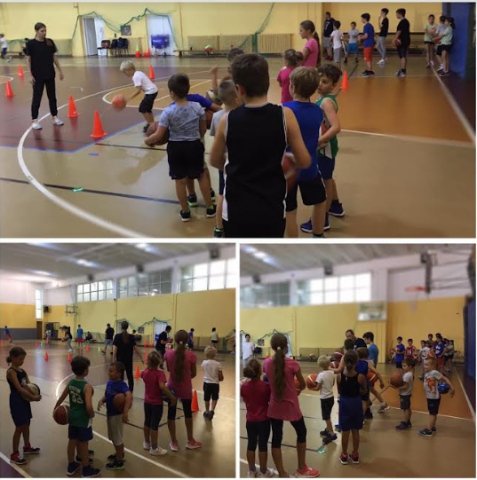 Braşovul va avea din acest an echipă de Liga 1 la baschet masculin! 6 ralph5.png