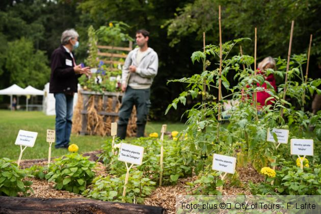 WhatsApp Image 2021-12-09 at 12.58.28_293244.jpeg