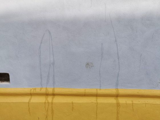 WhatsApp Image 2022-01-06 at 12.52.32 (1)_293759.jpeg