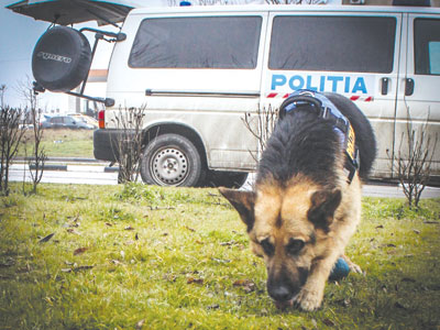 Dispariția unui brașovean cu probleme de sănătate a pus pe jar autoritățile și familia acestuia 1 article_429539_1.jpg
